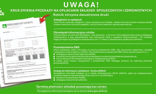 krus221