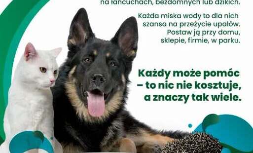 WYSTAW MISKĘ! 